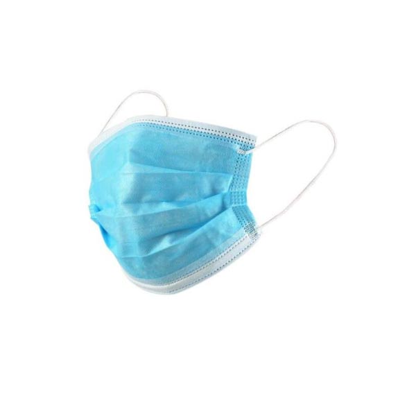 DISPOSABLE MASK Safety Wercs